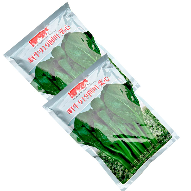 阿牛919圆叶菜心400g圆叶型翠绿色四季种植大田用