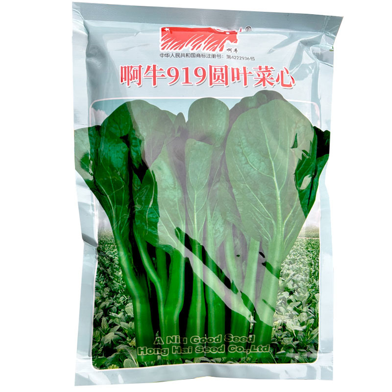 阿牛919圆叶菜心400g圆叶型翠绿色四季种植大田用