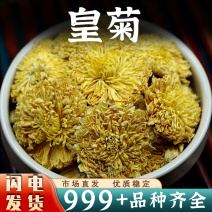 皇菊花正品非野生黄贡菊黄山贡菊泡水安国中药材批发