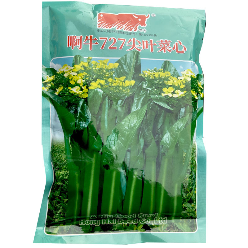 阿牛727尖叶菜心种子生长快耐寒耐热翠绿色油青有光泽
