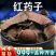 红药子中药材朱砂莲血葫芦血三七安国中药材批发