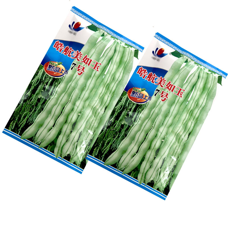 架豆种子美如玉7号白花芸豆种籽嫩荚白绿长架豆早熟芸豆春秋