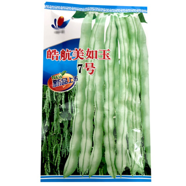 架豆种子美如玉7号白花芸豆种籽嫩荚白绿长架豆早熟芸豆春秋