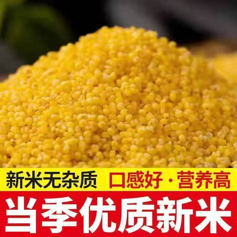 【正宗山西】山西黄小米月子粗粮米农家煮粥五谷杂粮