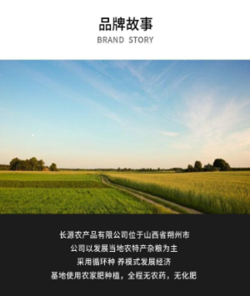 【正宗山西】山西黄小米月子粗粮米农家煮粥五谷杂粮