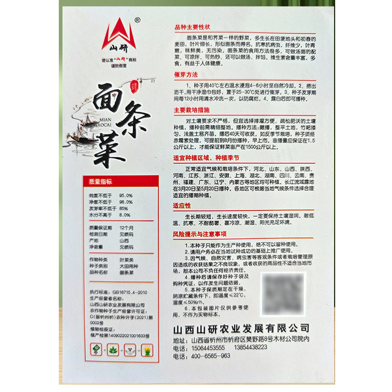 面条菜种子批发高产易种植速生春秋露地种植