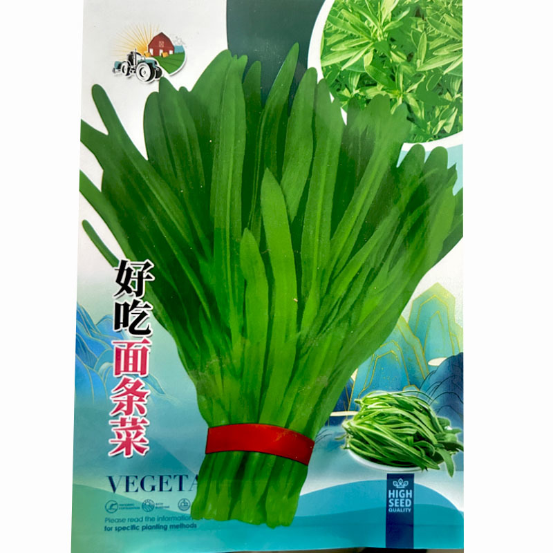 面条菜种子批发高产易种植速生春秋露地种植