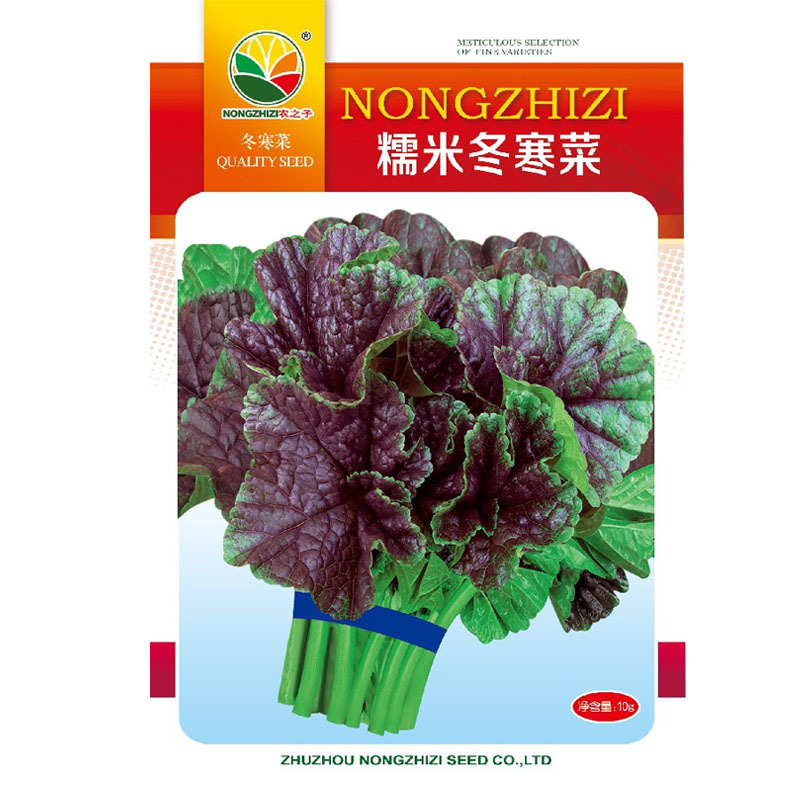 糯米冬寒菜种子批发冬苋菜高钙菜四季播耐寒耐热大田种植