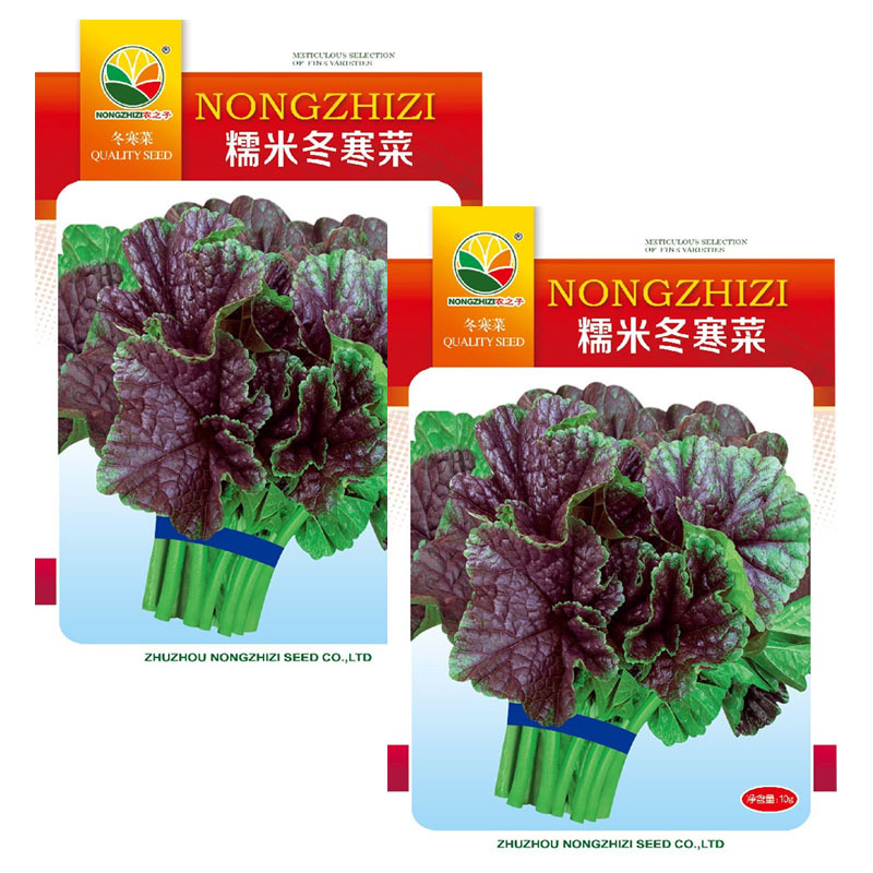 糯米冬寒菜种子批发冬苋菜高钙菜四季播耐寒耐热大田种植