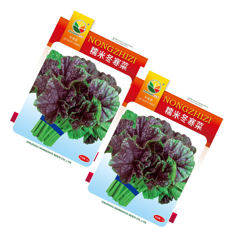 糯米冬寒菜种子批发冬苋菜高钙菜四季播耐寒耐热大田种植