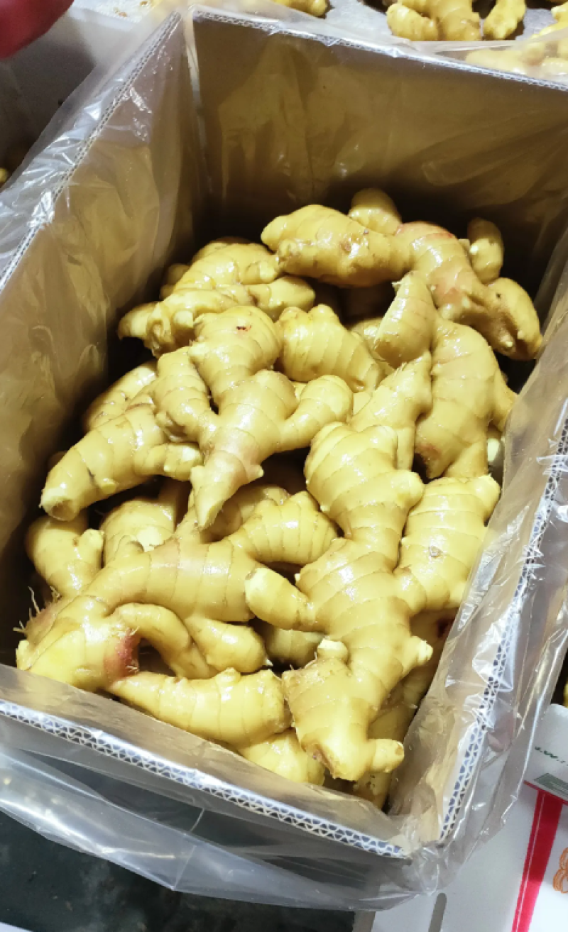 河南生姜精品大黄姜对接电商市场商超大量有货可视频