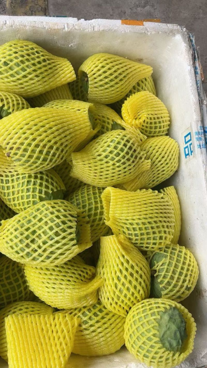 【热销】牛奶释迦果广西精品释迦果支持一件代发