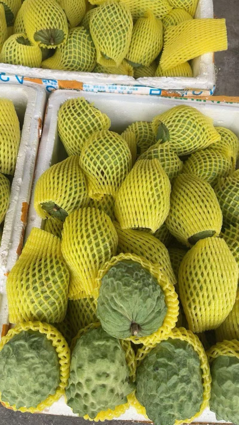 【热销】牛奶释迦果广西精品释迦果支持一件代发