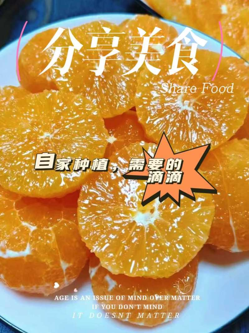 【实力推荐】奉节脐橙橙子品类齐全可批发一件可发对接全国