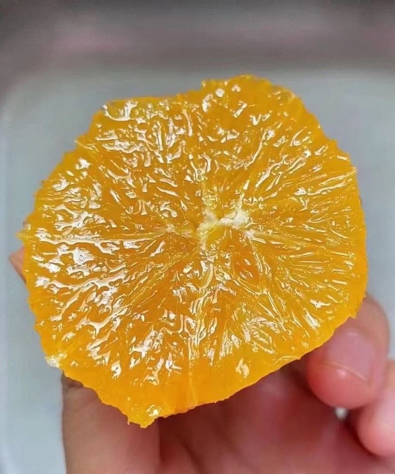 【实力推荐】奉节脐橙橙子品类齐全可批发一件可发对接全国