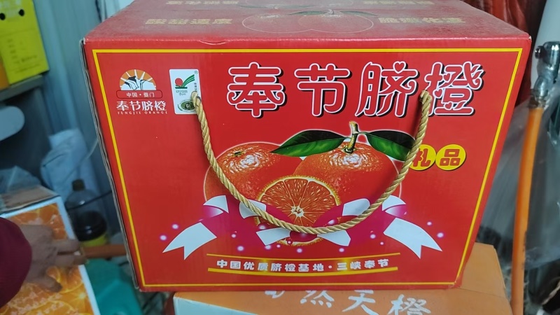 【实力推荐】奉节脐橙橙子品类齐全可批发一件可发对接全国