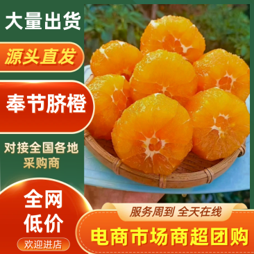 【实力推荐】奉节脐橙橙子品类齐全可批发一件可发对接全国