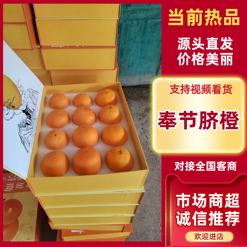 【实力推荐】奉节脐橙橙子品类齐全可批发一件可发对接全国