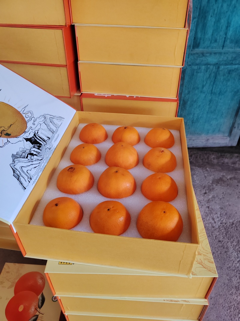 重庆奉节脐橙，口感纯甜，大量上市，产地直供，对接全国