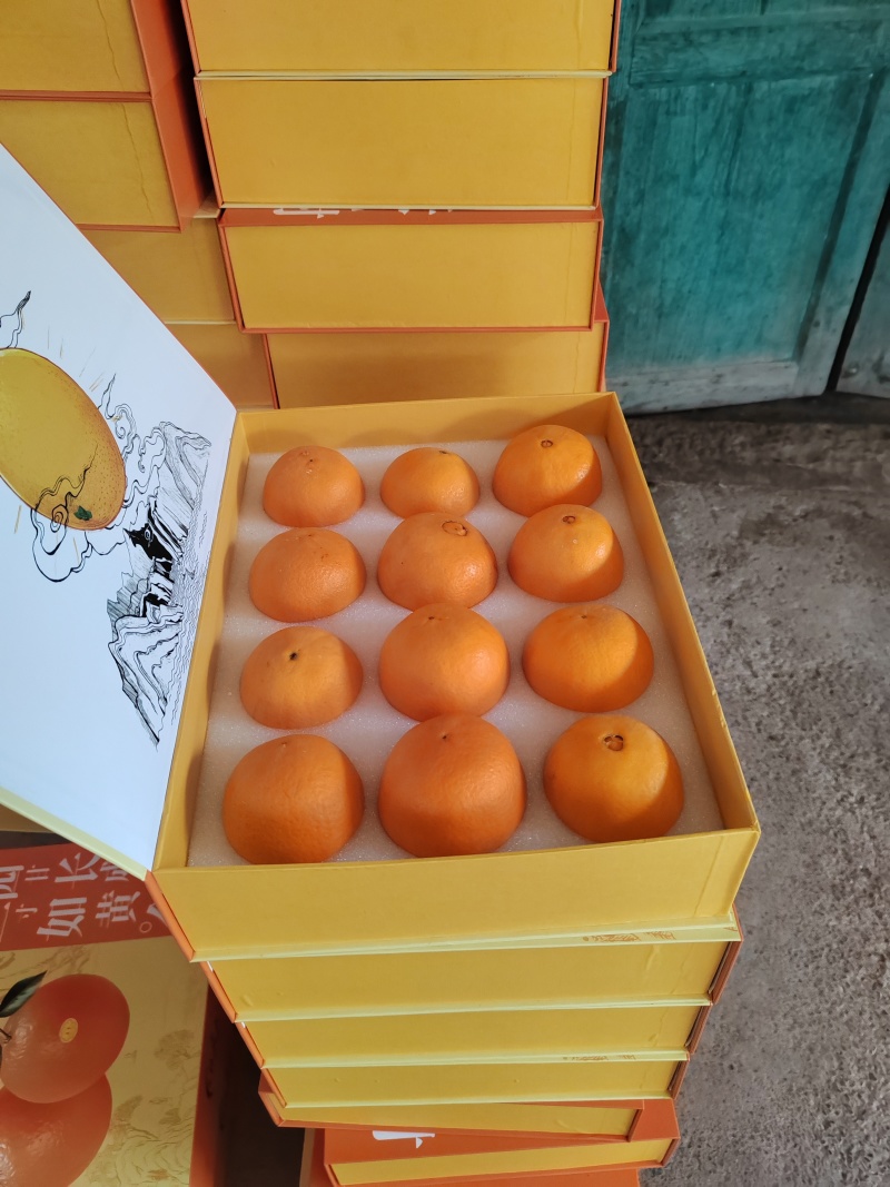重庆奉节脐橙，口感纯甜，大量上市，产地直供，对接全国