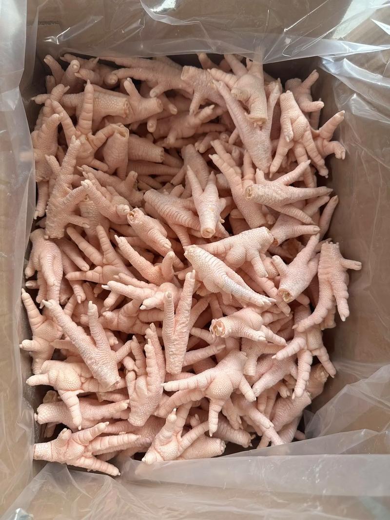 精品优质凤爪基地直供一手货源大量上市品质保证诚信经营