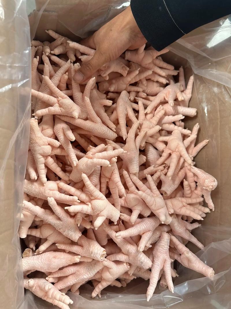 精品优质凤爪基地直供一手货源大量上市品质保证诚信经营
