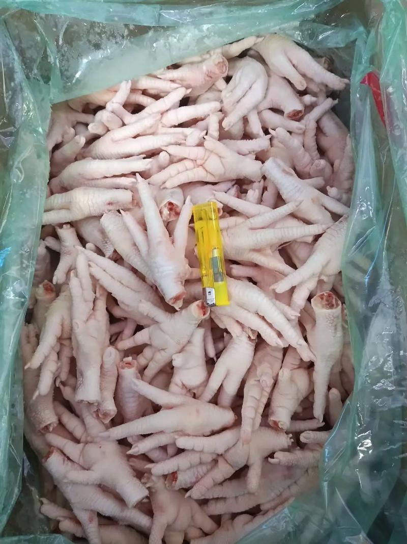 精品优质凤爪基地直供一手货源大量上市品质保证诚信经营