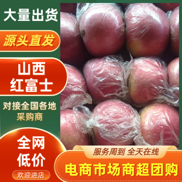 山西运城精品红富士苹果大量供应价格优惠欢迎来电洽谈