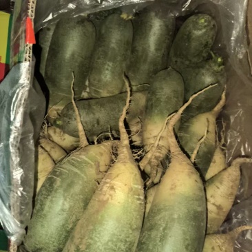 袋装水果萝卜，精品泰安市泰山青水果萝卜色泽鲜亮