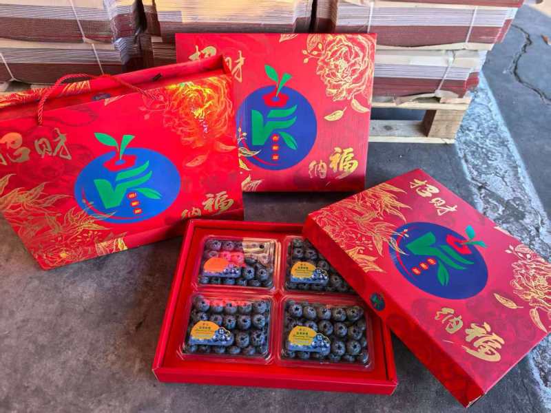 山东蓝莓L25蓝莓品类齐全，大量现货供应，价格可谈欢迎电