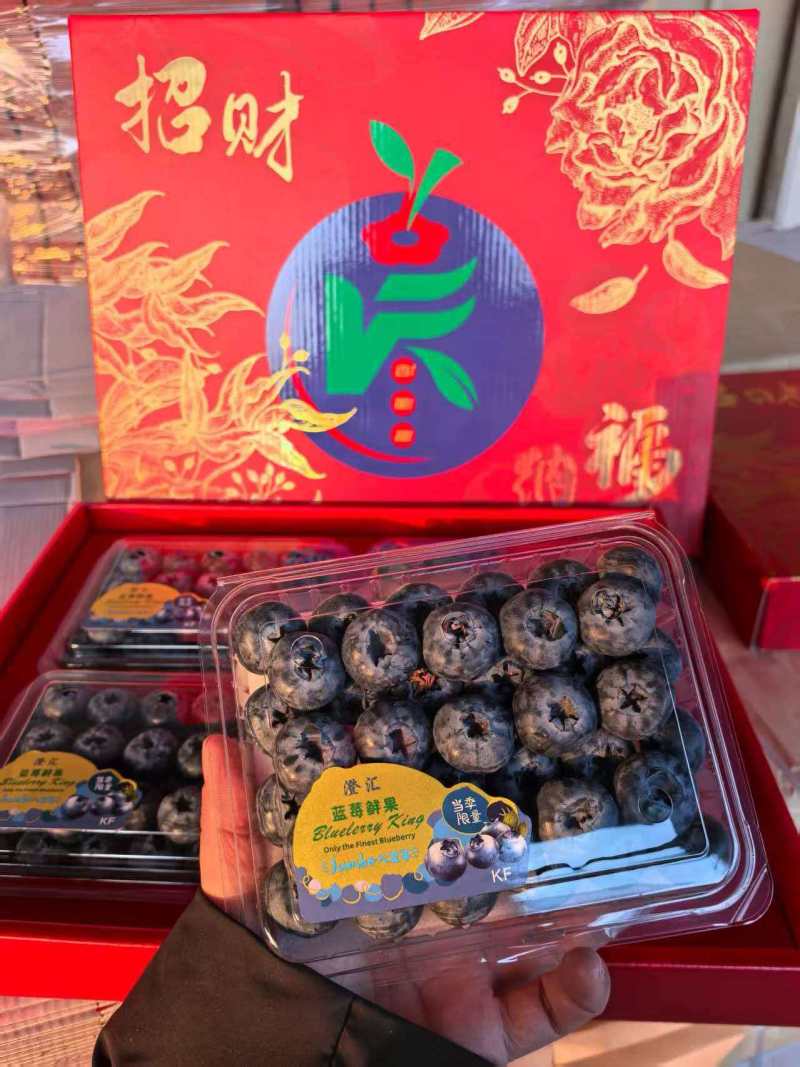 山东蓝莓L25蓝莓品类齐全，大量现货供应，价格可谈欢迎电