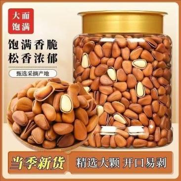新货华松东北松子大颗粒大开口松子支持电商一件代发
