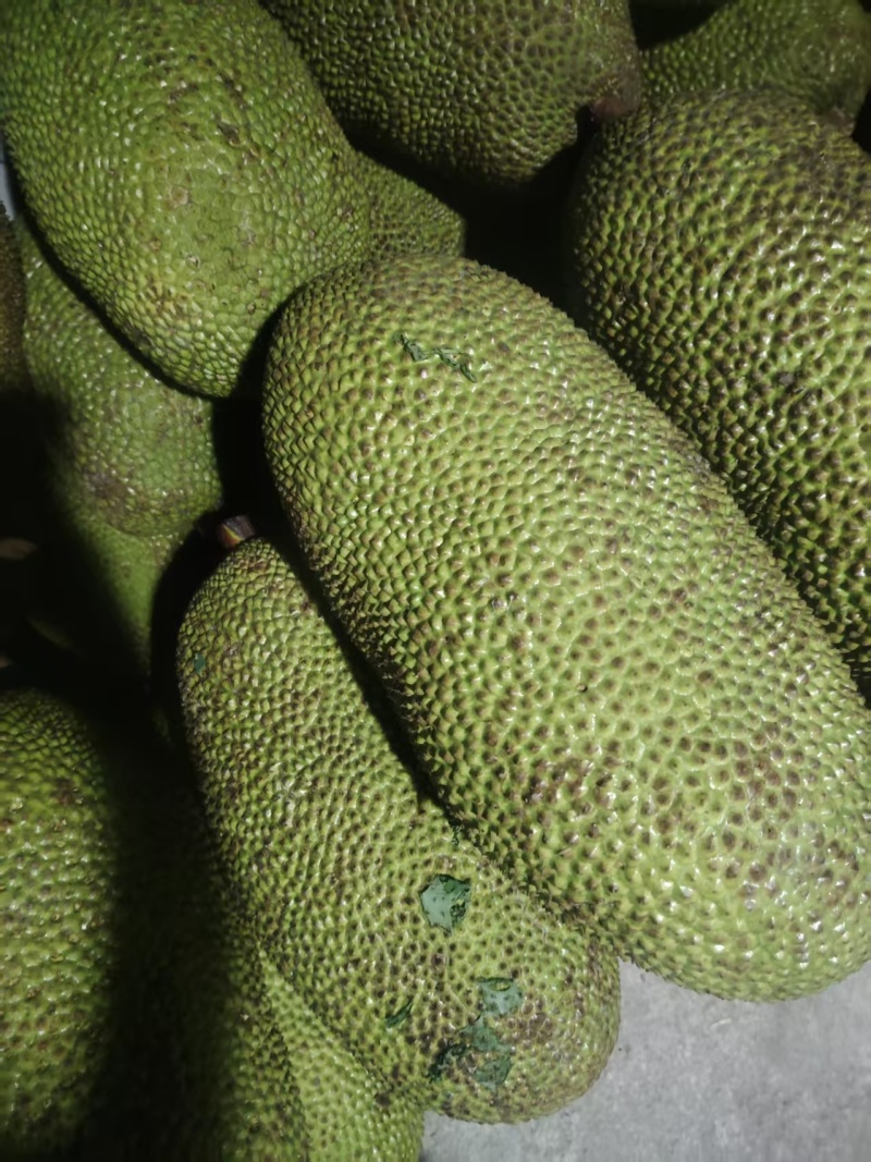 菠萝蜜/海南菠萝蜜/产地直发价格优惠欢迎来电