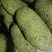 菠萝蜜/海南菠萝蜜/产地直发价格优惠欢迎来电