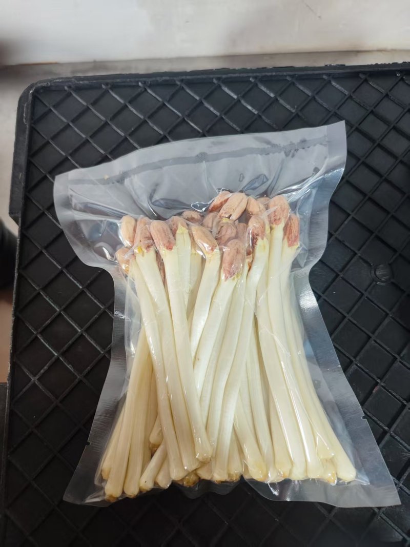 水培花生芽长寿芽清脆爽口火锅食材货源充足欢迎联