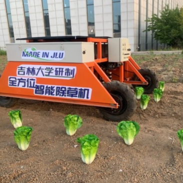 3ZHZ-2自走式行间-株间除草机