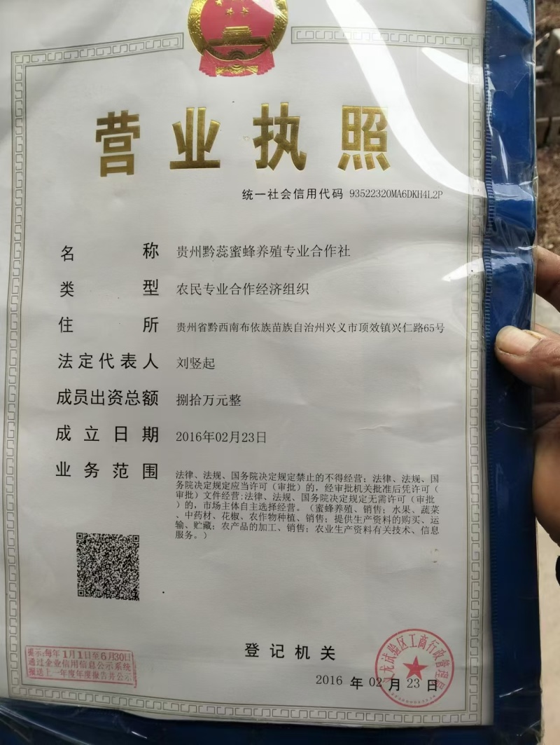 农村自己养的蜂自己产的蜂蜜，质量保证一手货源全国发货