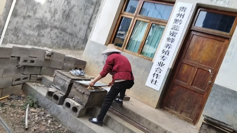 农村自己养的蜂自己产的蜂蜜，质量保证一手货源全国发货