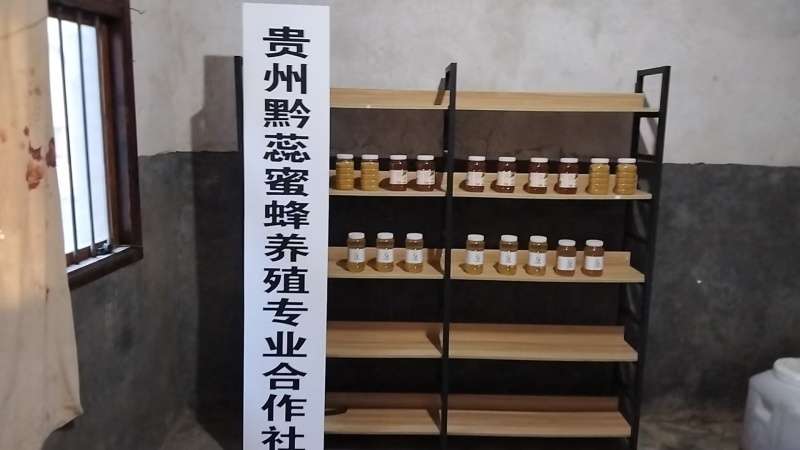 农村自己养的蜂自己产的蜂蜜，质量保证一手货源全国发货