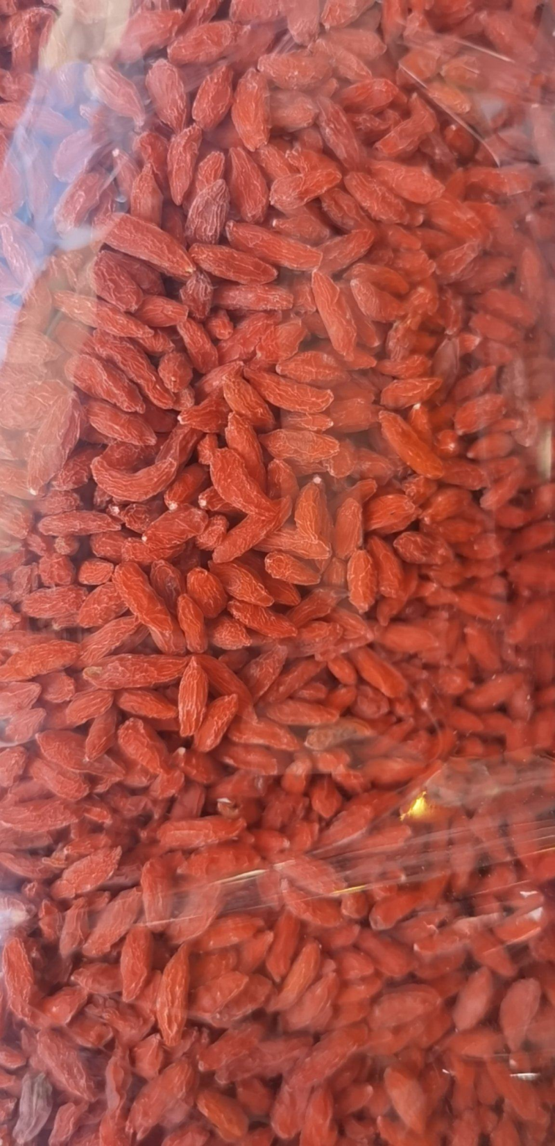 栀子红栀子颗粒饱满天热不粘大货批发