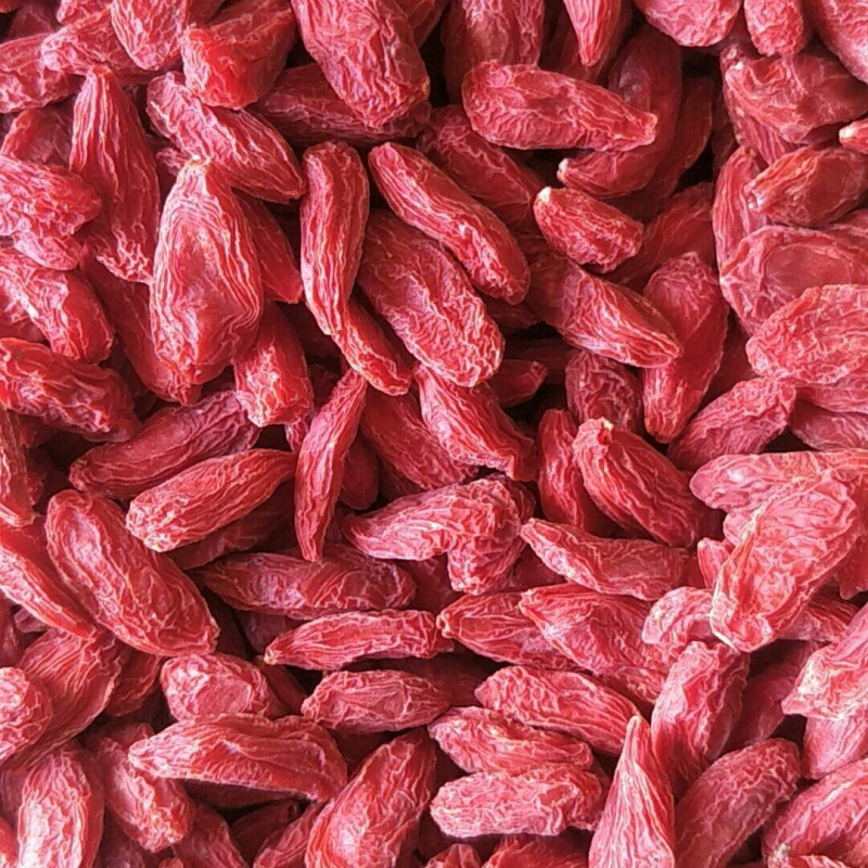 栀子红栀子颗粒饱满天热不粘大货批发