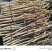 【热卖推荐】甘肃定西岷县水洗黄当归产地直发量大从优欢迎