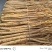 【热卖推荐】甘肃定西岷县水洗黄当归产地直发量大从优欢迎