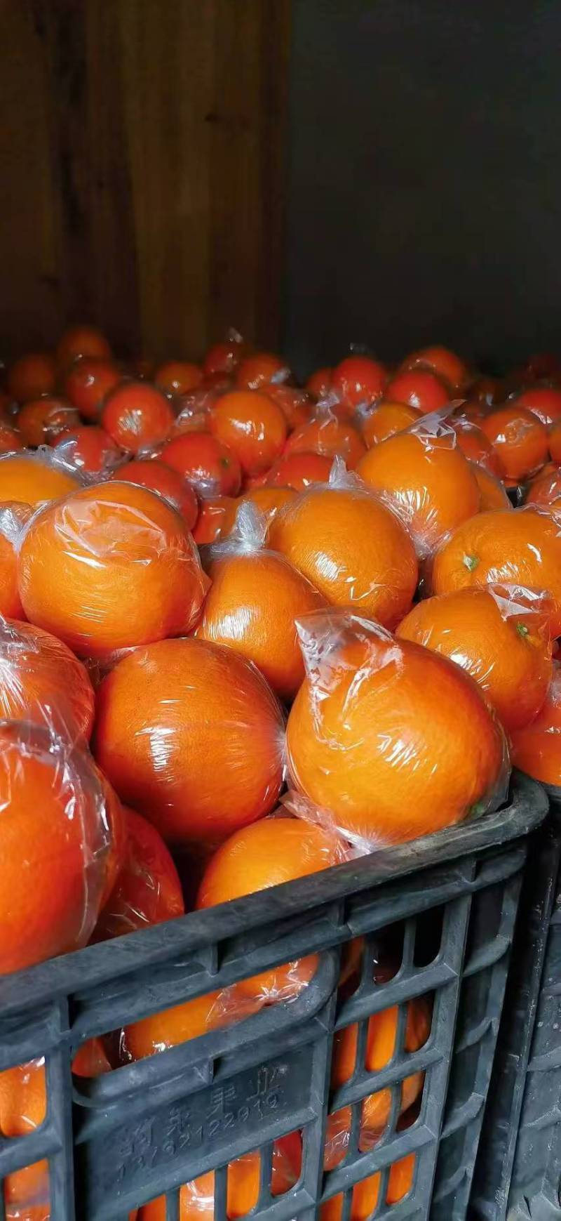 湖南套袋脐橙纽荷尔大量供应量大从优对接全国