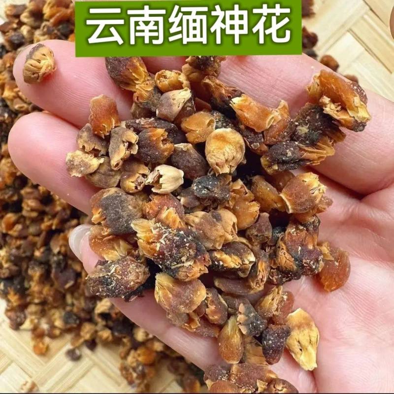云南山货缅神花金莲子金莲籽自然采摘金链子