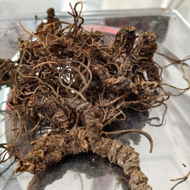 蝴蝶香云南深山好物野采蝴蝶香干蝴蝶香