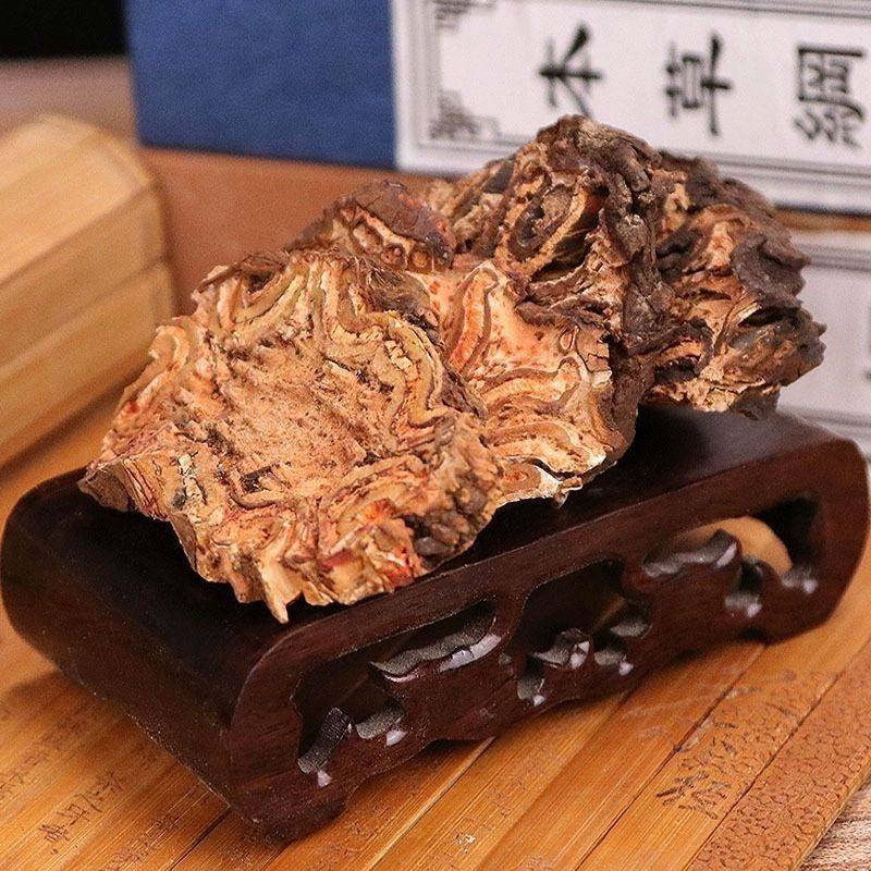 龙骨风新货桫椤飞天擒罗捞飞天蠄蟧龙骨风
