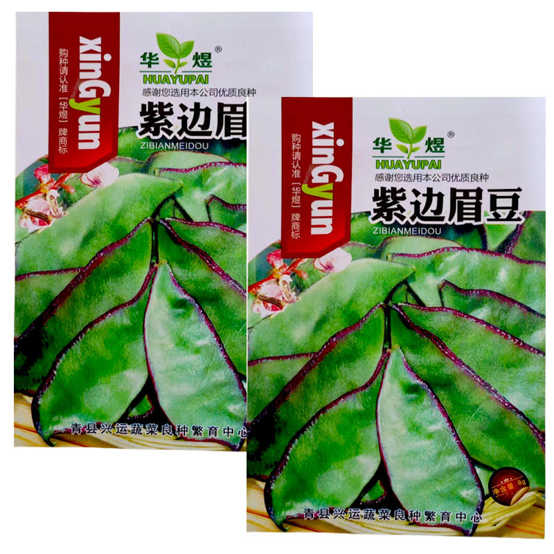 紫扁眉豆种子早熟结荚多大宽扁豆高产抗病大田基地型