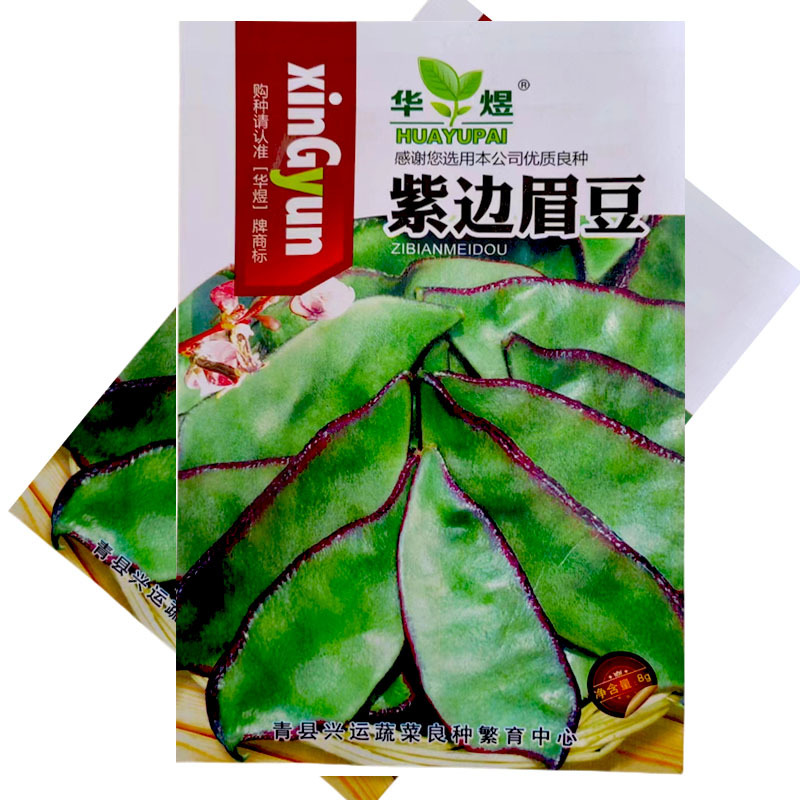 紫扁眉豆种子早熟结荚多大宽扁豆高产抗病大田基地型