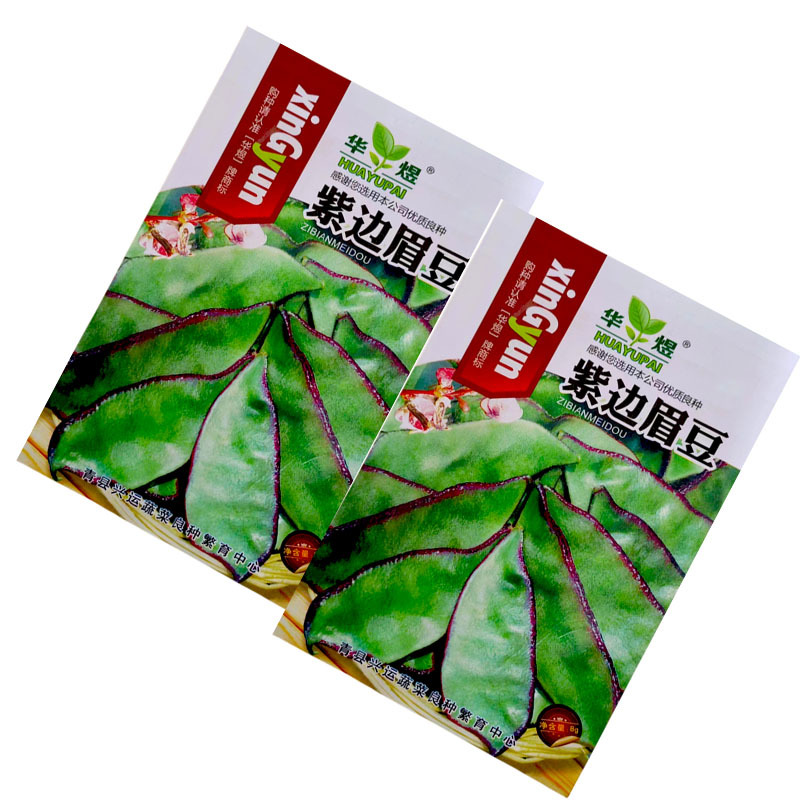 紫扁眉豆种子早熟结荚多大宽扁豆高产抗病大田基地型